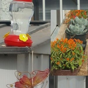 Meet your Posher, Sylvia